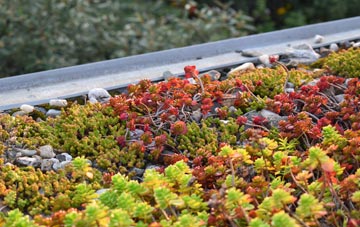 the cost of Finstall green roof installation