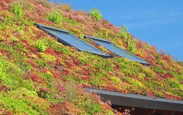 Finstall living roof systems